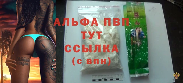 СК Бронницы