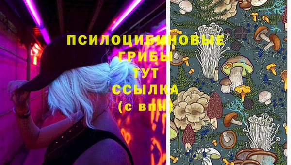 трава Бородино