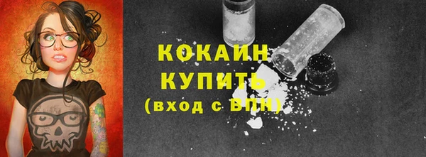 трава Бородино