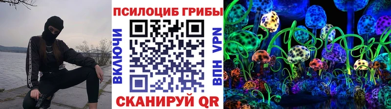 Псилоцибиновые грибы прущие грибы  что такое наркотик  Черемхово 